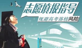 娱乐吃瓜君全球高考