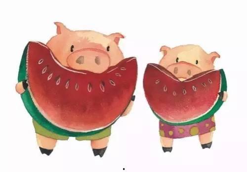 吃瓜娱乐猪,揭秘娱乐圈背后的趣味故事